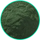 Imagem de pó verde escuro de Espirulina, rica em proteínas e vitaminas, que controla o apetite.
